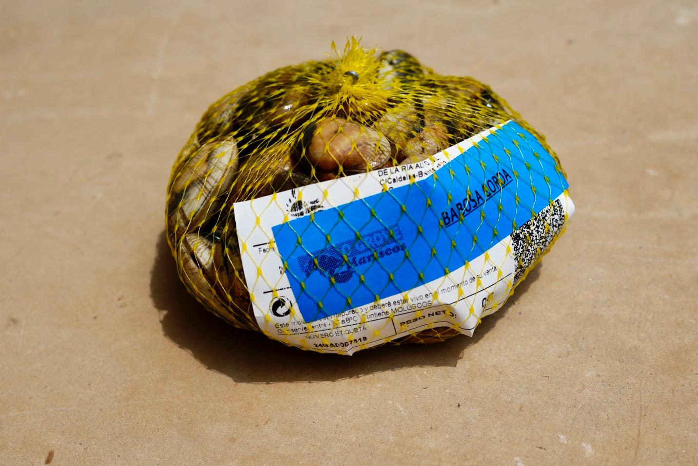 ALMEJA BABOSA GALLEGA BOLSA