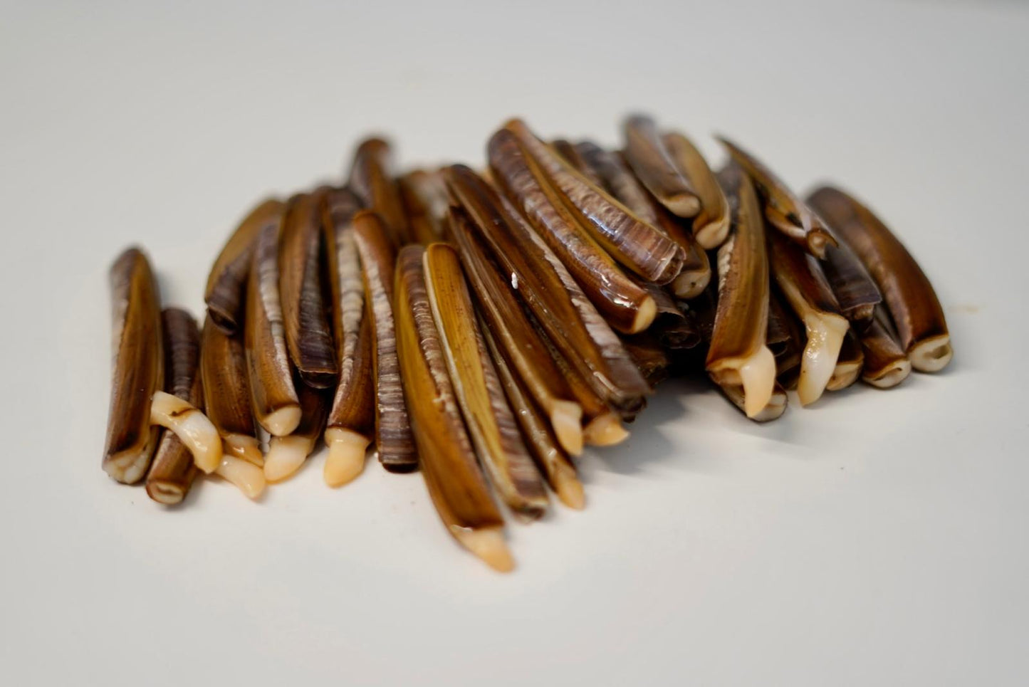 NAVAJAS GALLEGAS
