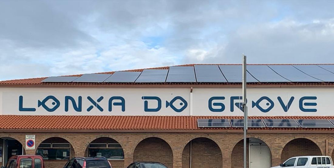 Guía sobre la Fiesta del Marisco de O Grove 2024