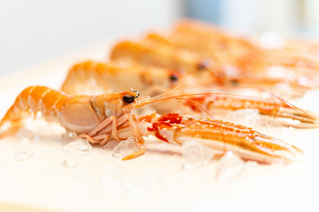 ¿Cómo hacer cigalas al horno?