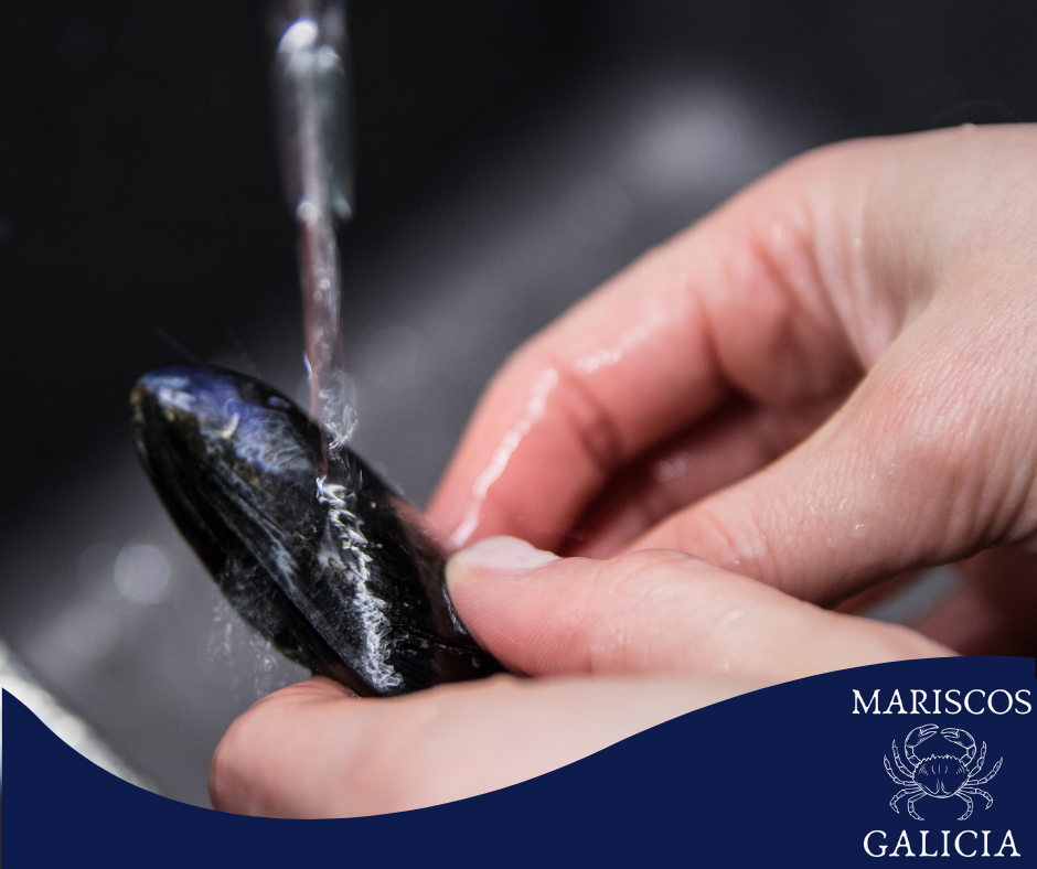¿Cómo limpiar mejillones rápido?