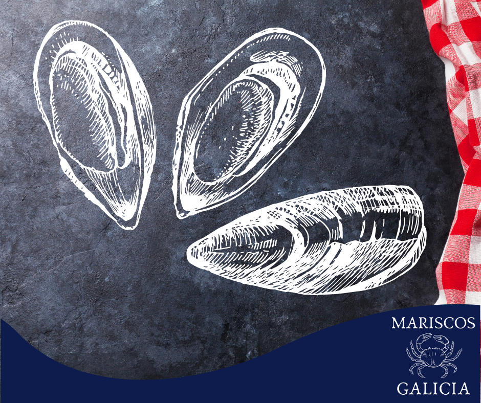Guía para cocer mejillones