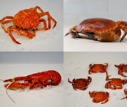 Mariscada Black Friday