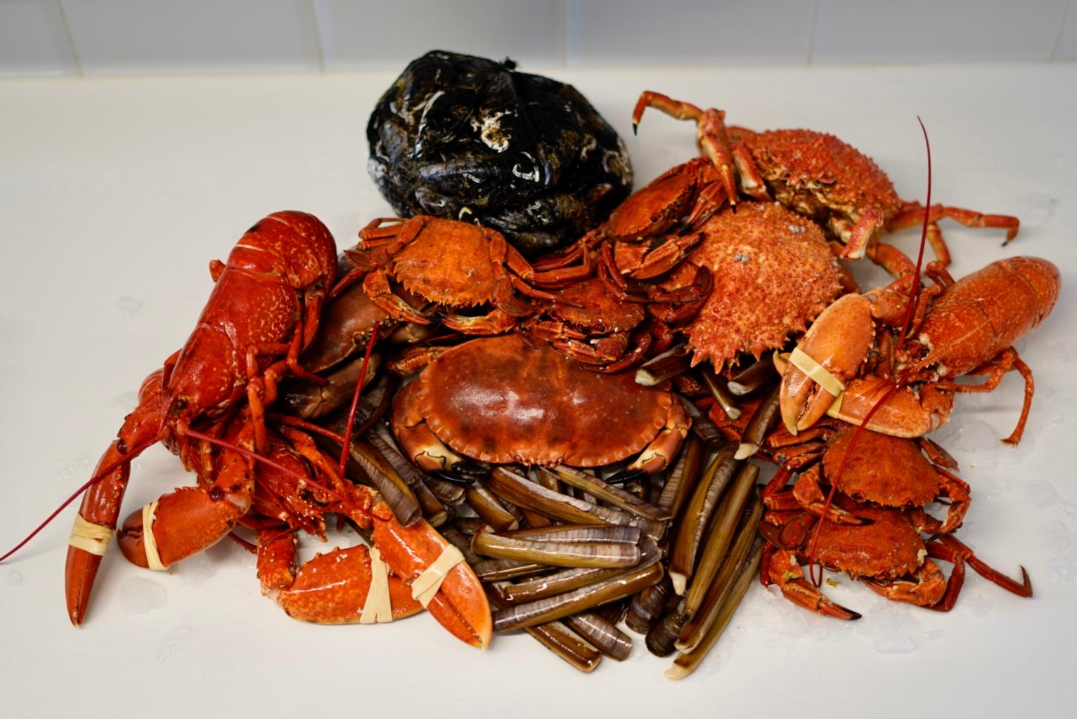 Mariscada para 6 Personas