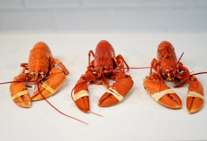 Mariscada para 6 personas- Bogavantes
