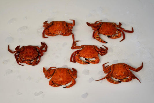 Mariscada para 6 personas- Necoras