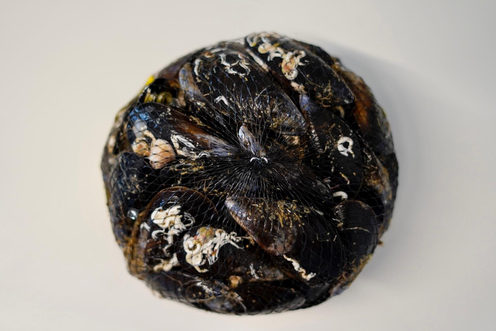 MEJILLONES GALLEGOS 2
