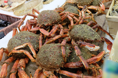 Centollas Gallegas