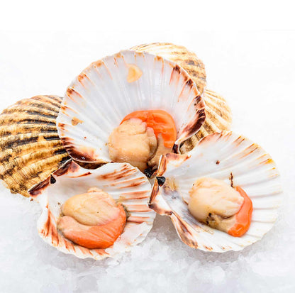 Mariscada Fiestas Navideñas (cocida)