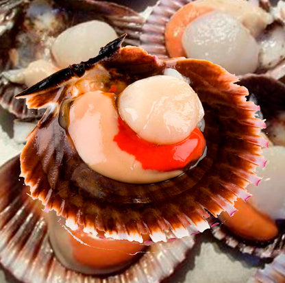 Mariscada Fiestas Navideñas (cocida)